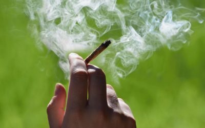 Consommation de cannabis au Maroc, quelle vision pour le futur?
